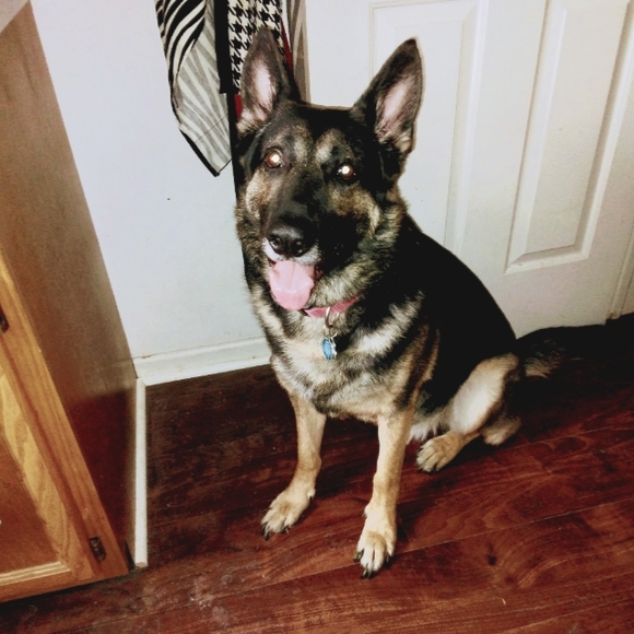 Meet your Posher, Sally - Picture 9 of 16